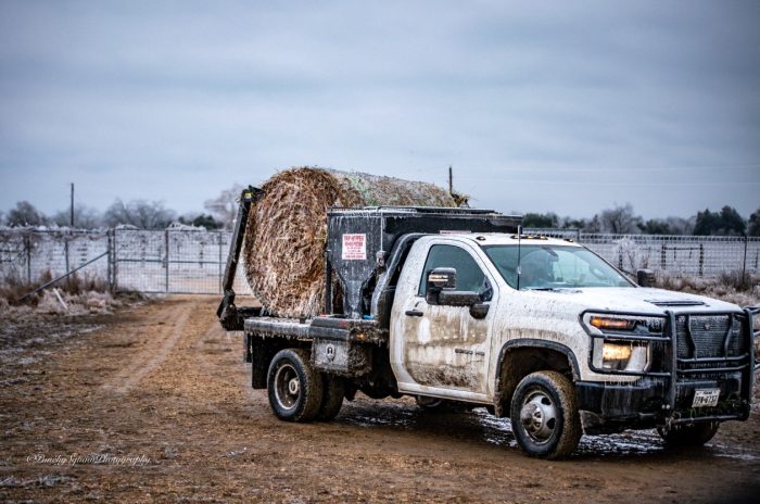 C5 Rancher Bale Bed - Image 6