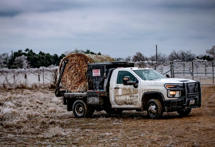 C5 Rancher Bale Bed - Image 7
